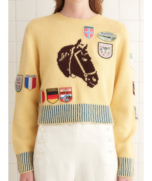 PULL PONY SILHOUETTE acheter en ligne