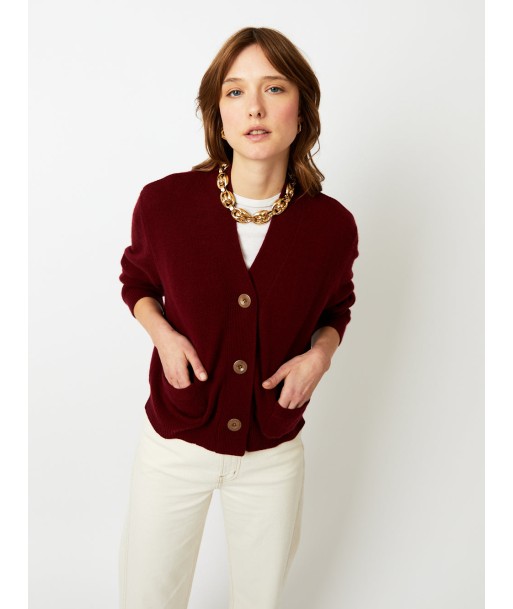 CARDIGAN LOU VELOURS du meilleur 