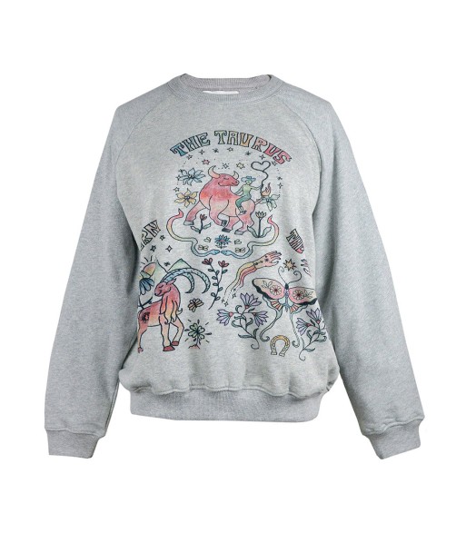 SWEATSHIRT ASTRO SIGNES TERRE les muscles