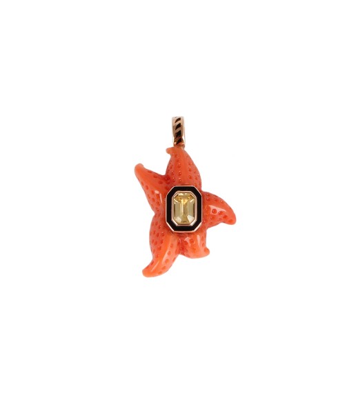 PENDENTIF ÉTOILE DE MER CORAIL d'Europe débarque